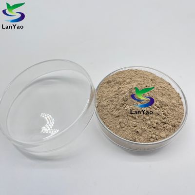 Aerobik Anaerobik Antibiyotikler Atık sularda aerobik anaerobik bakteriler Bakteri kültürü