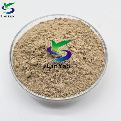 Bio Bakteriler Nitrifikasyon Bakteriler Etkili Atık Su Arıtma