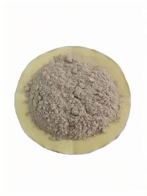 Atık suların arıtılması için gelişmiş mikrobiyal bakteriler