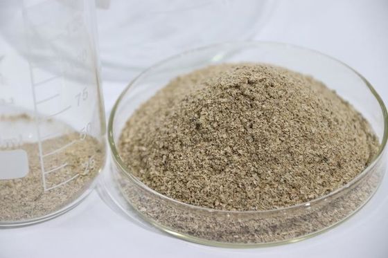 Yüksek konsantrasyonlu su arıtma Bio bakteriler Toz Form Toz